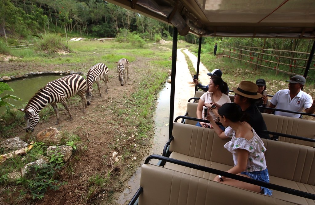 Cebu Safari Tour