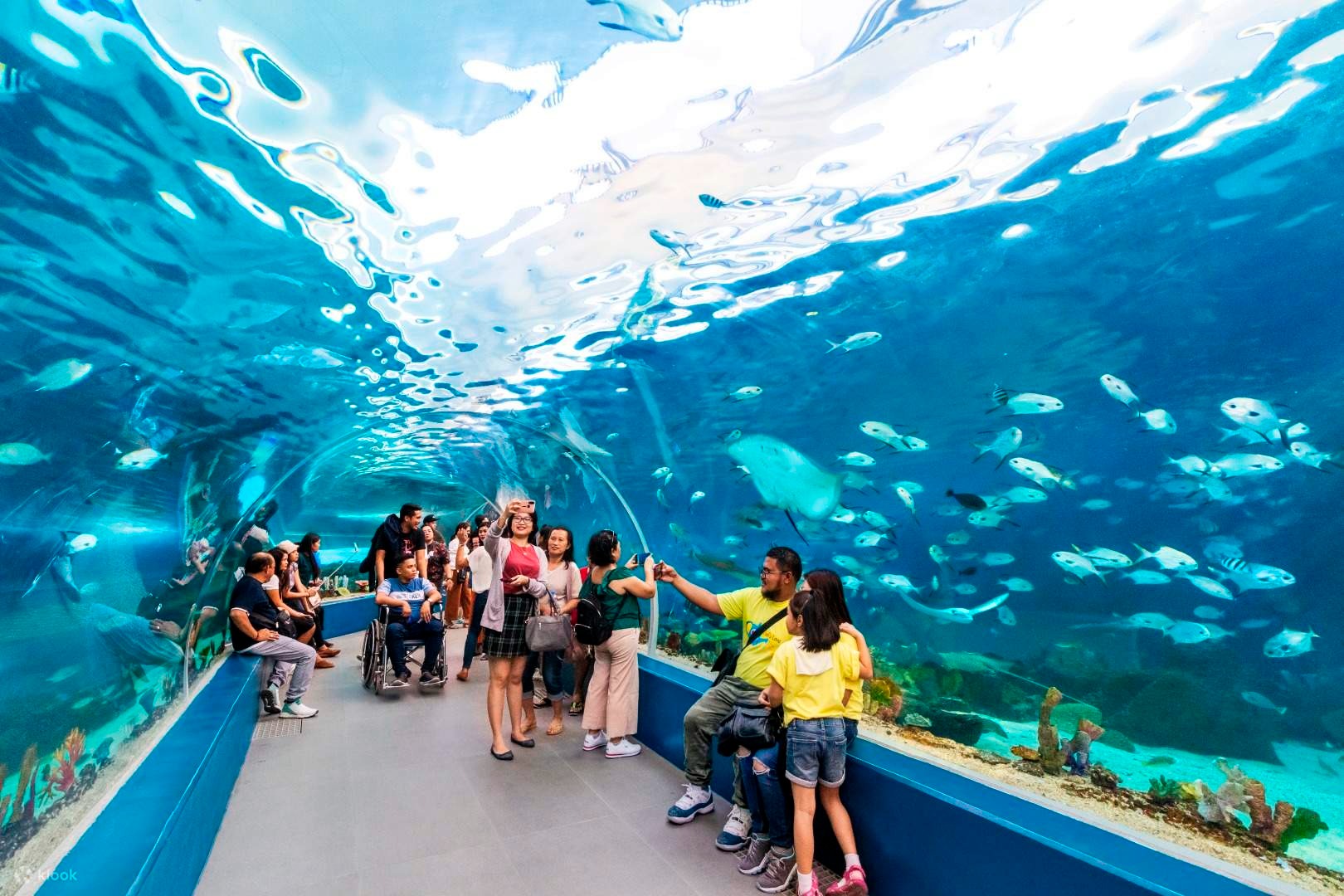 Cebu Ocean Park Tour