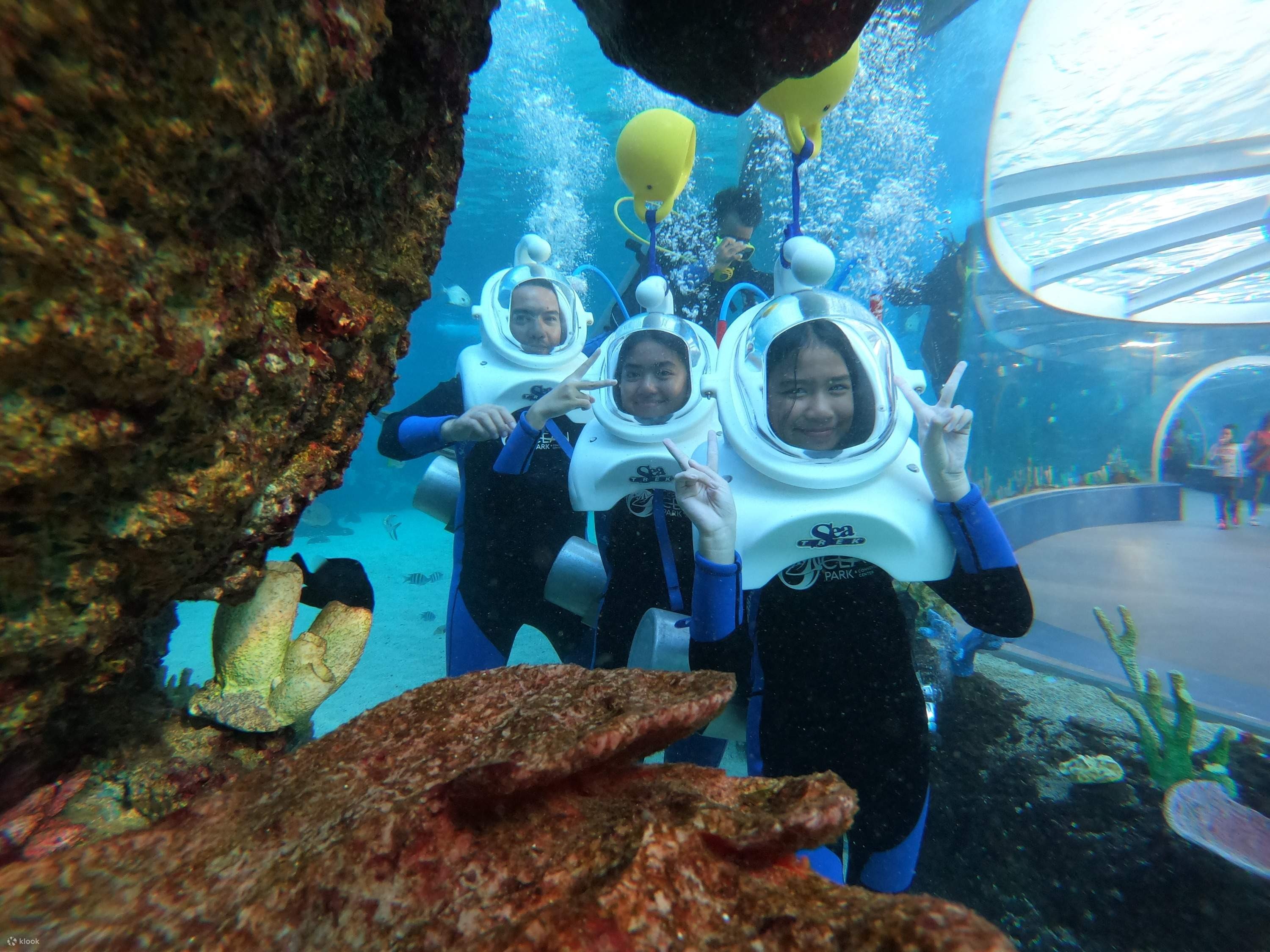 Cebu Ocean Park Tour